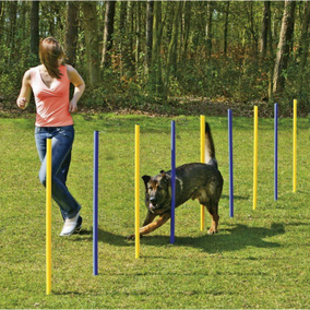 TOPMAST AGILITY SLALOM SET 6 PALEN
