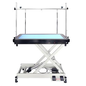TOPMAST ELEKTRISCHE TRIMTAFEL MET LED VERLICHTING 110 X 60 CM