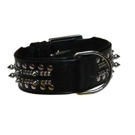 Halsband Delgado Leder zwart .( metalen pinnen)