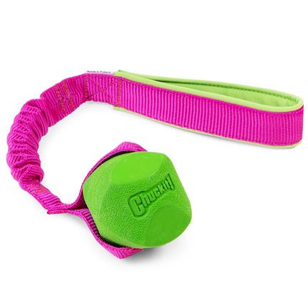 Chuckit! Erratic bungee. neon Yellow , orange ,green )