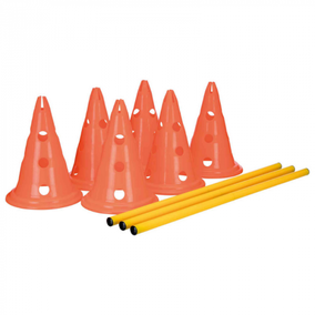 TRIXIE DOG ACTIVITY HORDENSET 3 ST