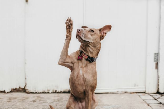 unsplash_AoqgGAqrLpU