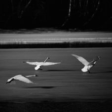 IMG_4233