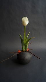 Kuglevase raku sort