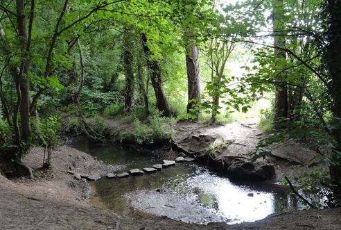 Beanhill Brook
