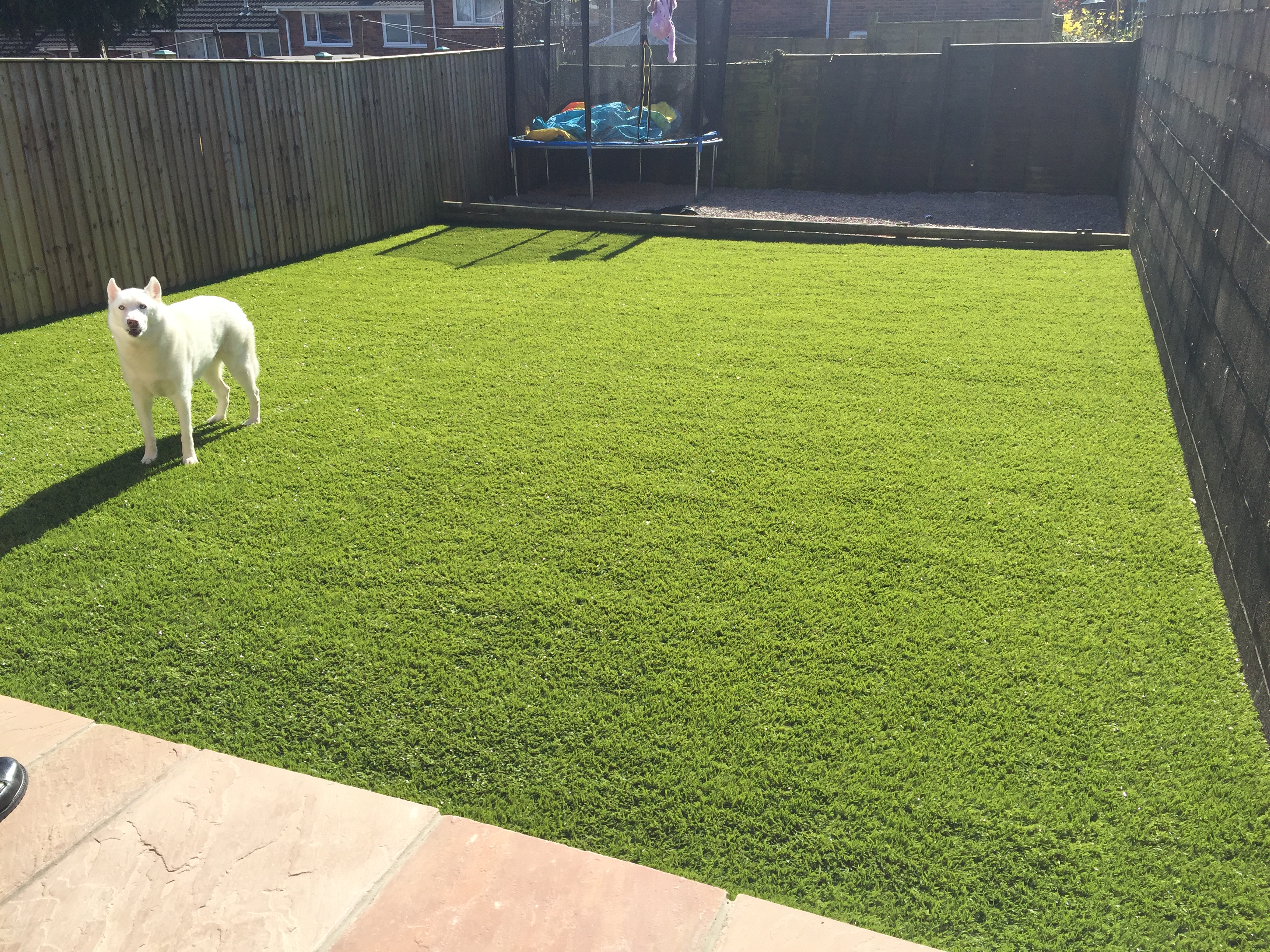 astroturf