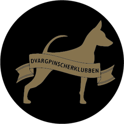 Dvärgpinscherklubben