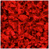 DPL-HOLO-119