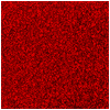 DPL-HOLO-116