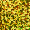 DPL-HOLO-108