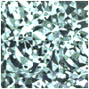 DPL-HOLO-102