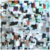DPL-HOLO-117
