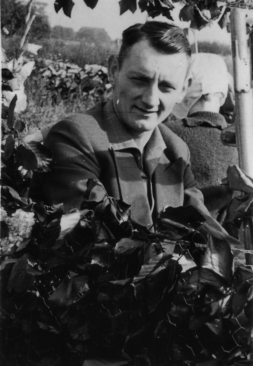 Toet, Hendrik - Kolderveen