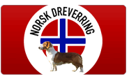 Norsk Dreverring