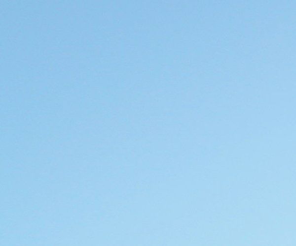 unsplash_Jyg7xHRmXiU