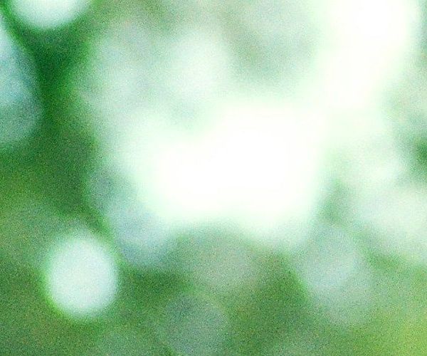 unsplash_Wr3HGvx_RSM