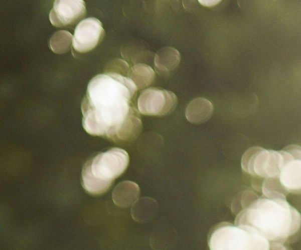 unsplash_b9833srFlac