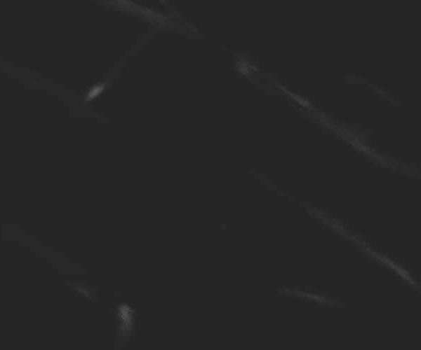 unsplash_tJHU4mGSLz4
