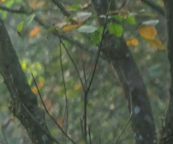 unsplash_tvc5imO5pXk