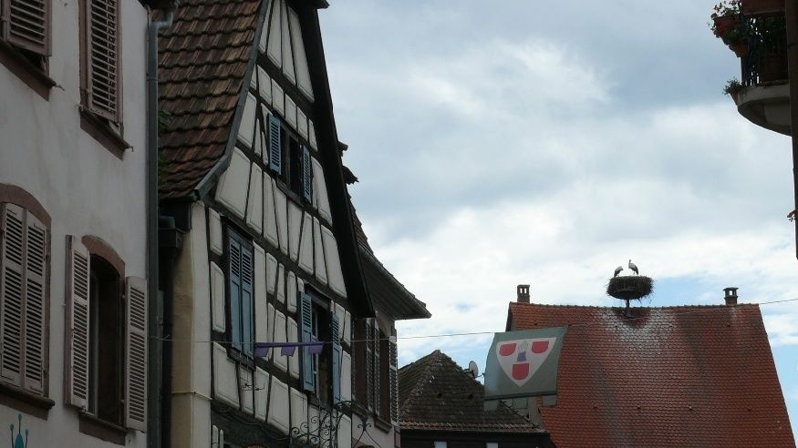 Ribeauville