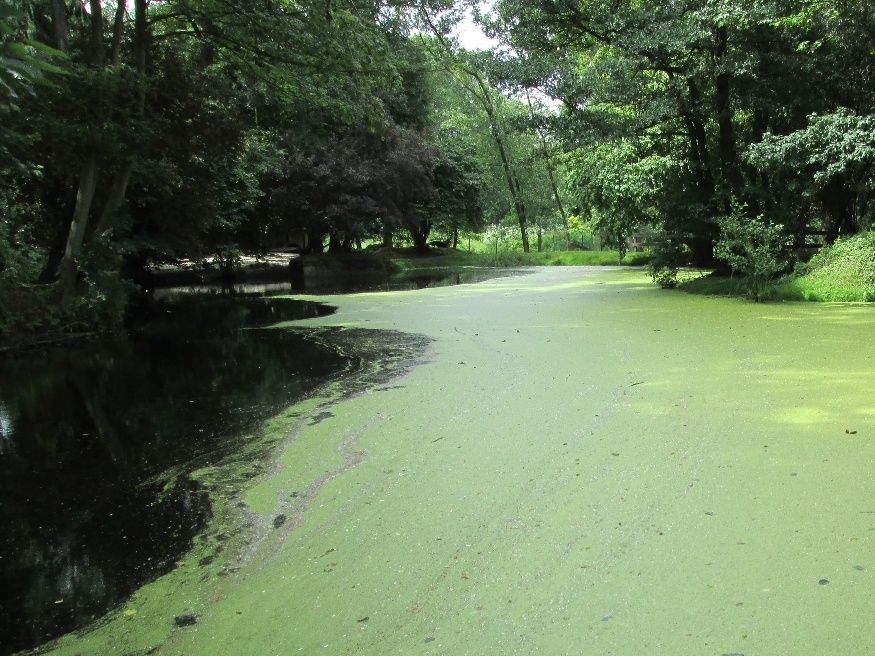 Hooge Crater