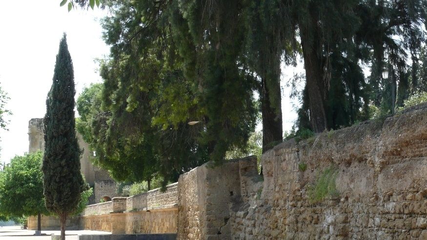 Arabic walls