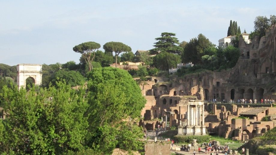 Part of the Forum complex