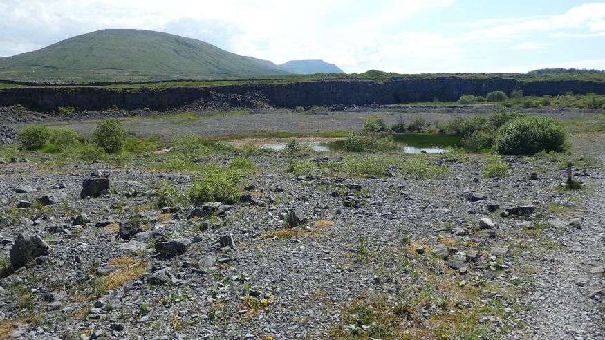 The old Ribblehead quarry, now a nature reserve.