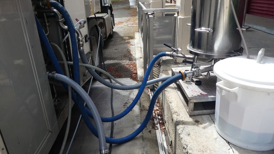 Wine coming from the cellars