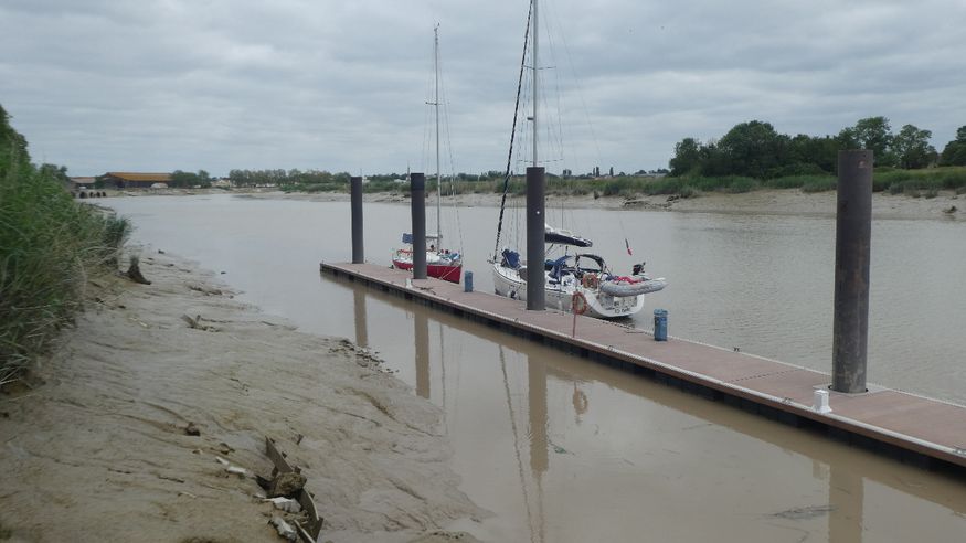 The muddy Charente river