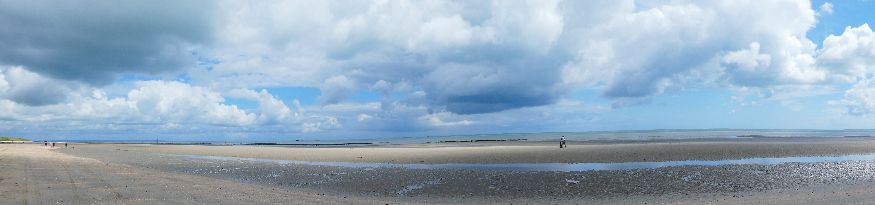 Utah beach at low tide.