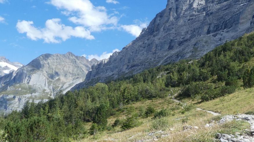 The route upwards in the wrong direction to Grindelwald which we weren't prepared to follow.