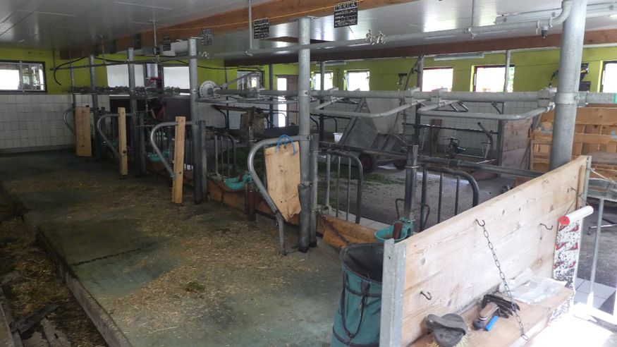 The cow shed next door.