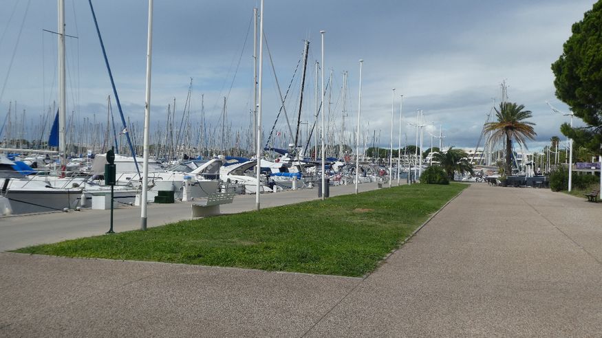 Port Camargue