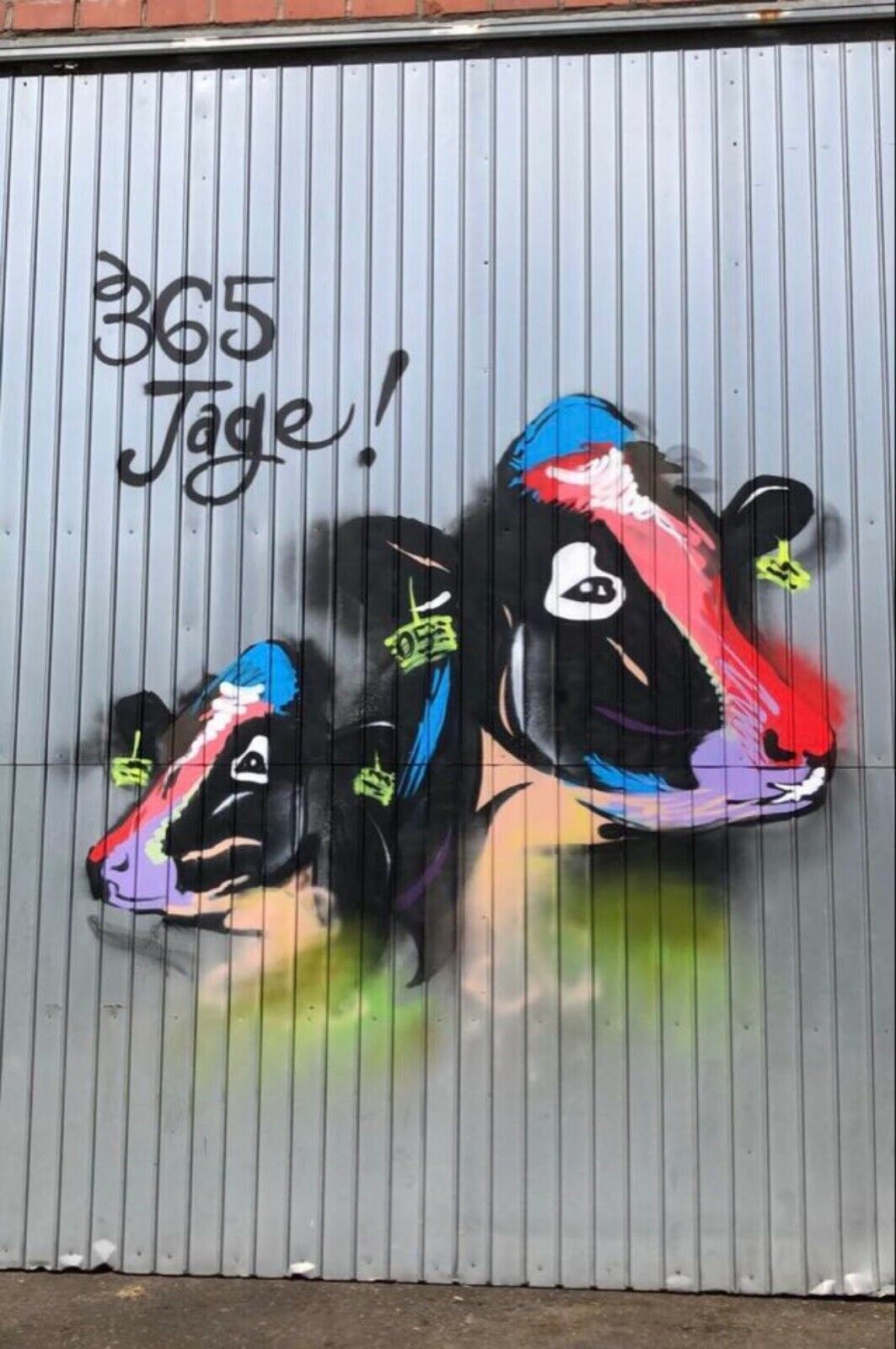 Graffiti von Kühen mit bunten Farbakzenten auf Wand