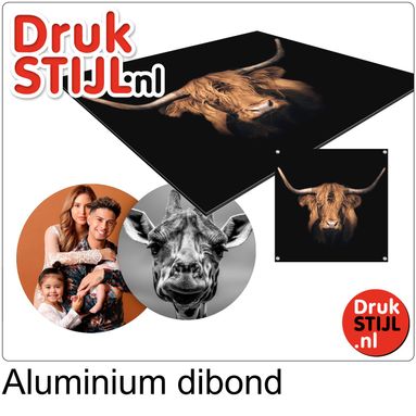IMG PRODUCTPAGINAS DRUKSTIJL wanddecoratie aluminium dibond 2