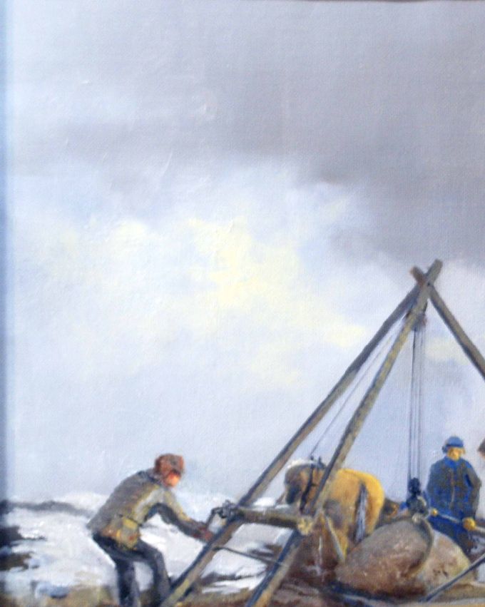 Den norske adel 50x40