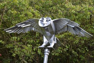 The Last Flight, by Luke Perry at Sandwell RSPB