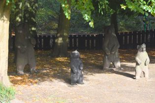 Warley Woods 