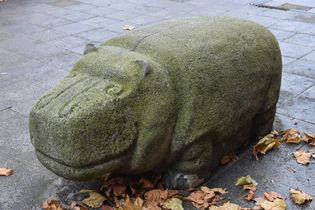 Hippo