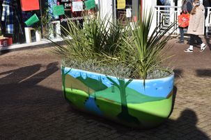 Planters in precinct