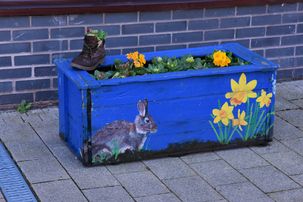 Planters in precinct