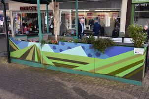 Planters in precinct