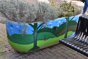 Planters in precinct