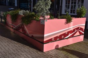 Planters in precinct