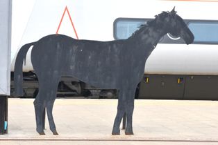 Wolves rly station (1)