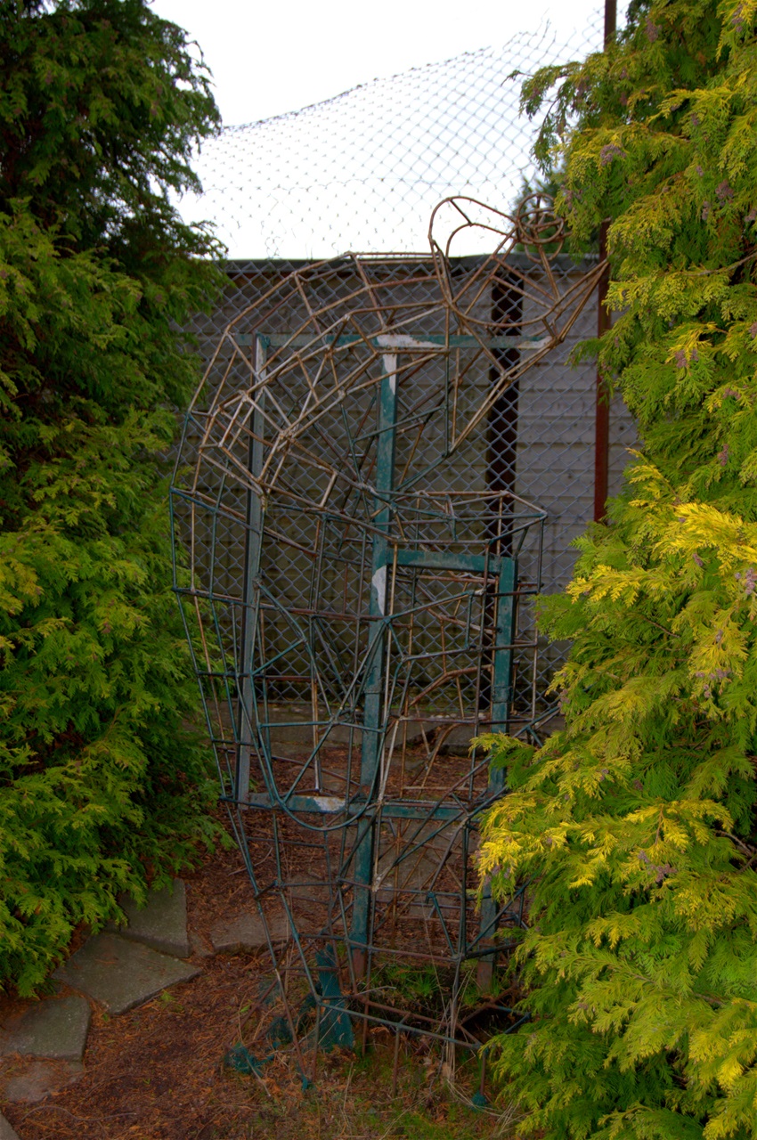 Chameleon by John Garbutt and David Allen , Ivy on steel frame