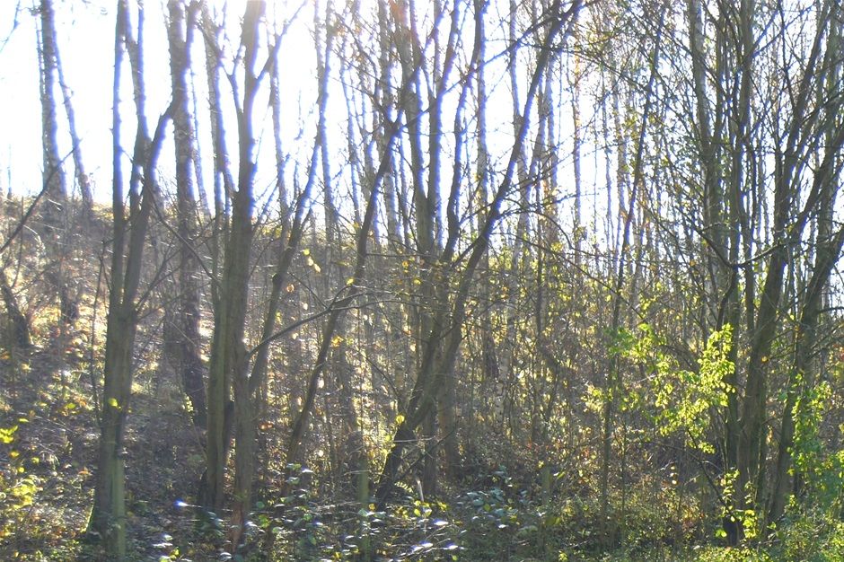 Lunt walk, Guardian, sculpted by John Vaughan.