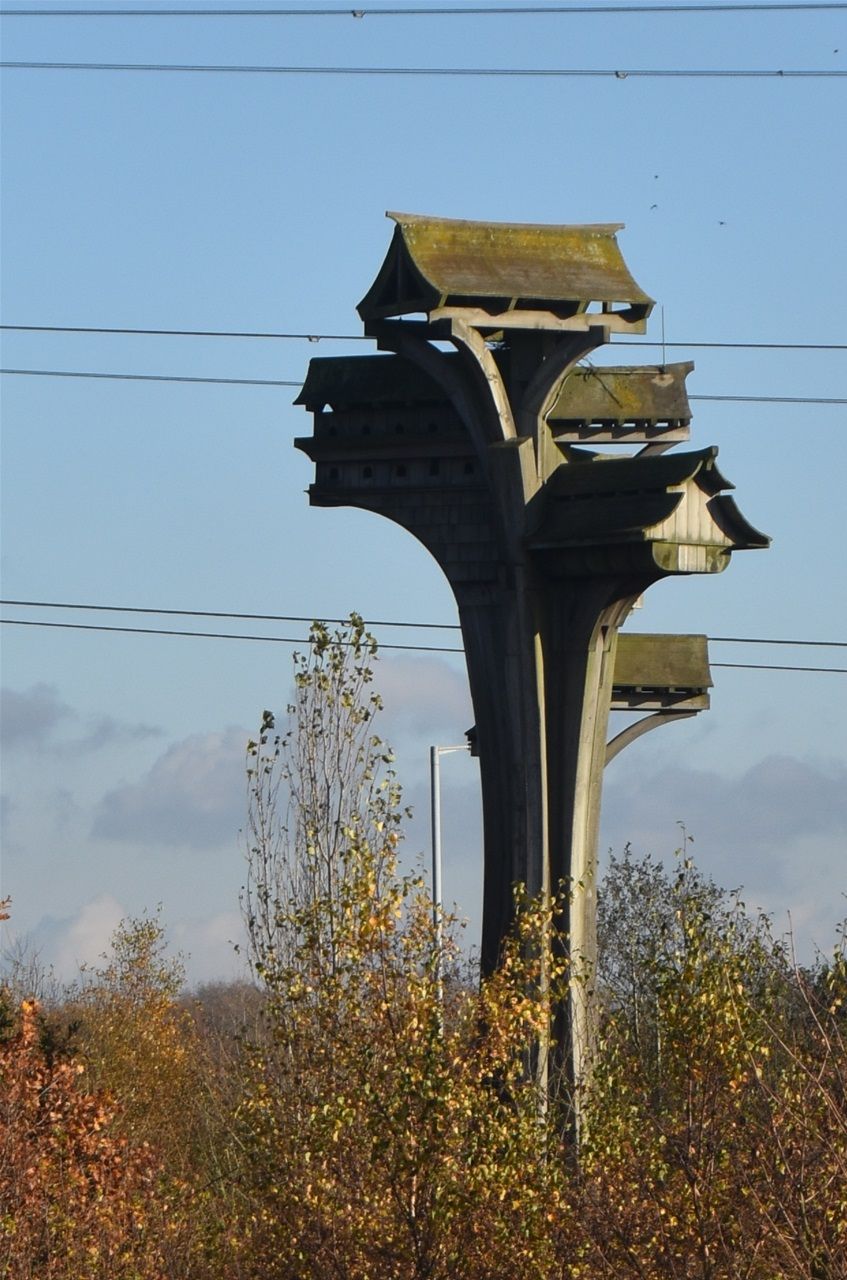 Darlaston Lane. House of Birds. Designed by Jamie McCullough