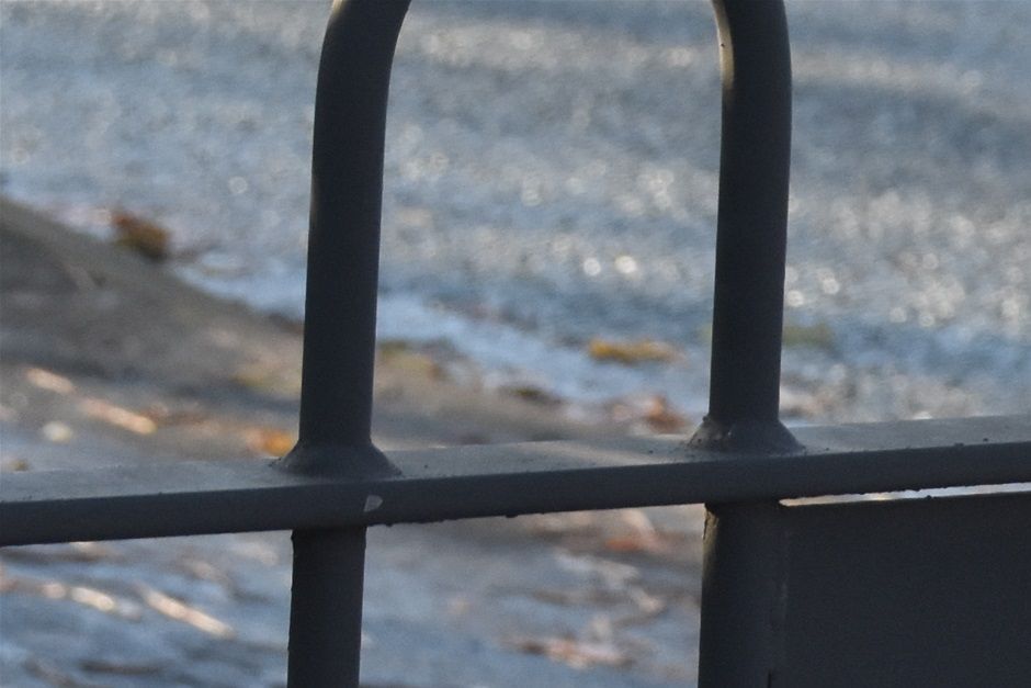 Ornate railings next to Lunt Community Centre